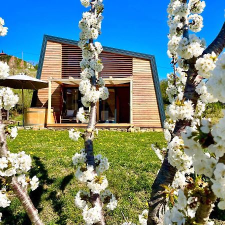 Villa Maxi Sonce, Odprte Vasi Prvacina Exterior foto