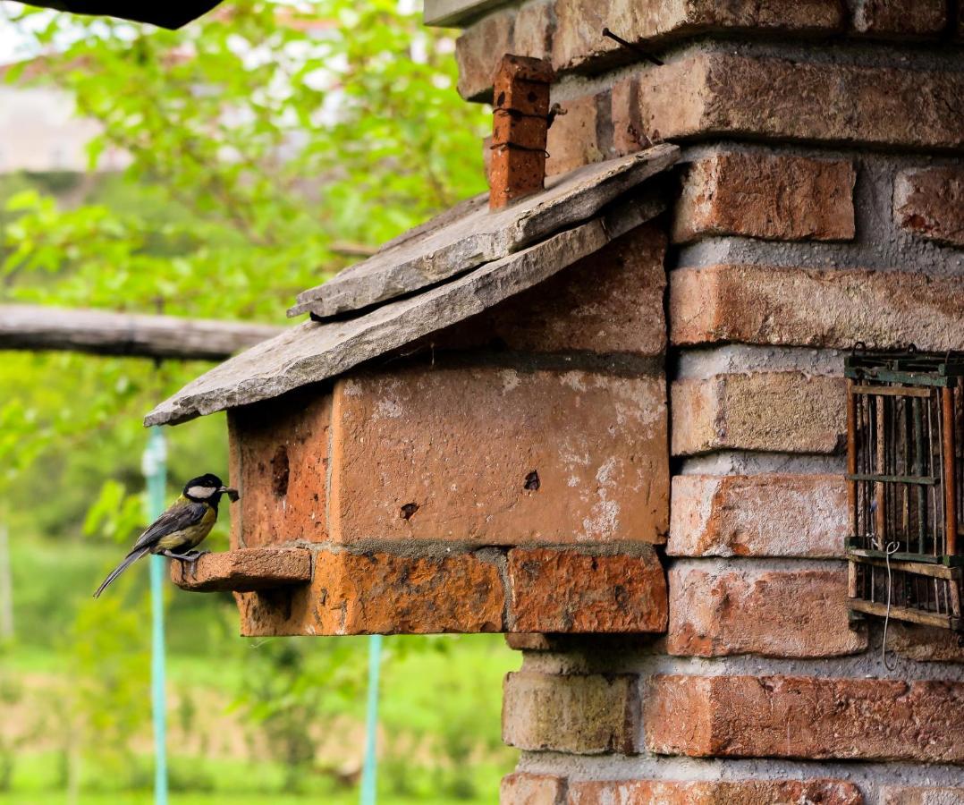 Villa Maxi Sonce, Odprte Vasi Prvacina Exterior foto