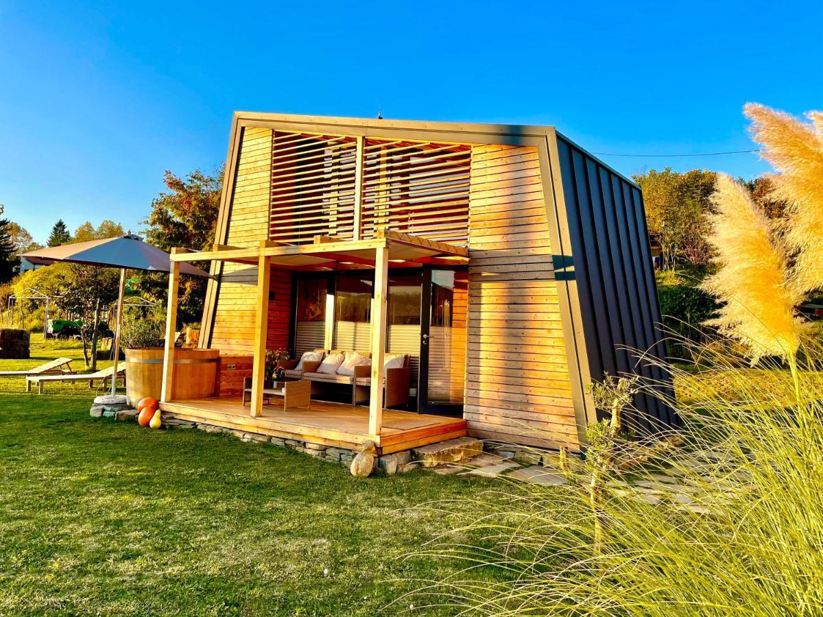 Villa Maxi Sonce, Odprte Vasi Prvacina Exterior foto