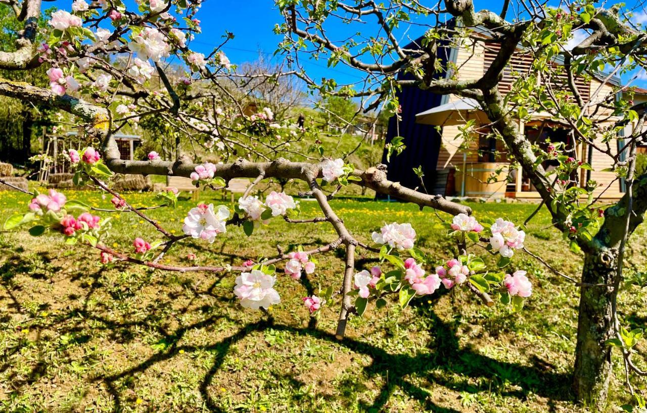 Villa Maxi Sonce, Odprte Vasi Prvacina Exterior foto